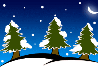 もみの木のイラスト01（雪が降ってる夜）[GIF]