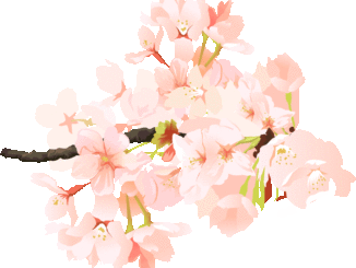 桜のイラスト01（枝に花が咲いている様子・リアル）［GIF］