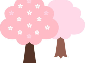 桜のイラスト04（2本の桜の木・縁なし）［JPG］