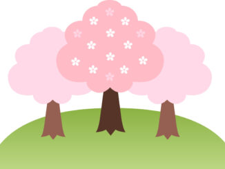 桜のイラスト06（3本の桜の木と丘・縁なし）［JPG］
